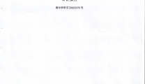 2019年财务审计报告