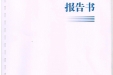 2016年医院审计报告