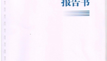 2016年医院审计报告