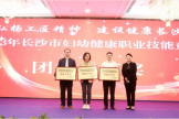 【喜报】硕果累累收获季，喜报连连谱新篇
